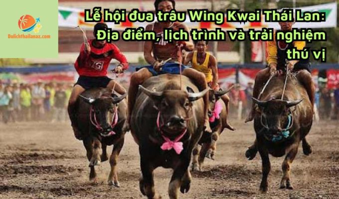 Lễ hội đua trâu Wing Kwai Thái Lan: Địa điểm, lịch trình và trải nghiệm thú vị